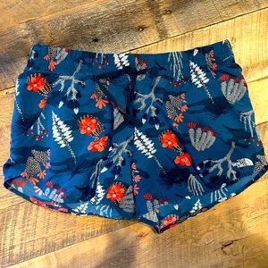 The north face shorts, elastic waistband, size L